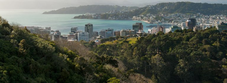 Northland harbour
